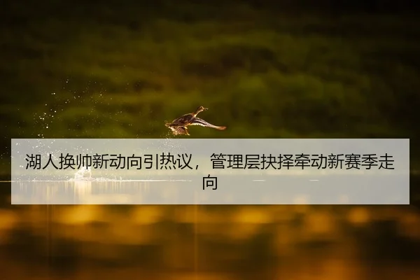 湖人换帅新动向引热议，管理层抉择牵动新赛季走向